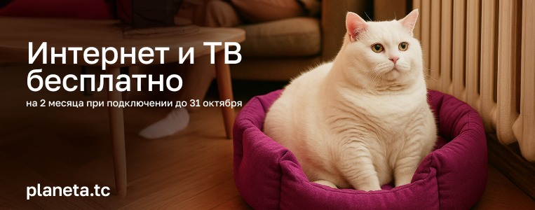 в текст.jpeg