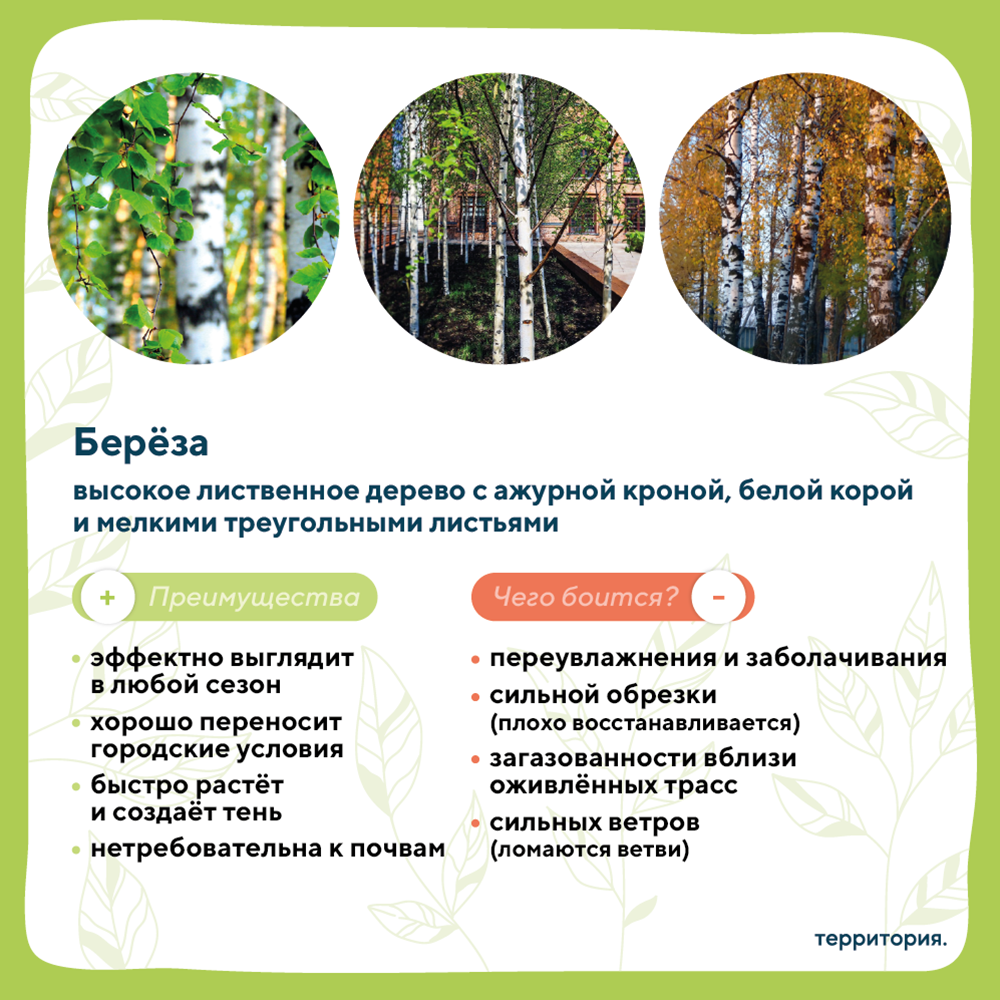 атлас растений 2_3.png